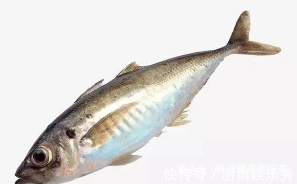 3种鱼含有大量的甲醛、重金属,自家餐桌上,尽量少出现