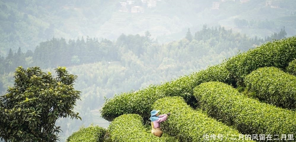 原生态|钦州居然还有这么仙的地方，美如天空之境，是个宜游宜居的好地方