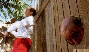 |搞笑GIF：花大价钱在网上买的 你们帮我看看是不是正品