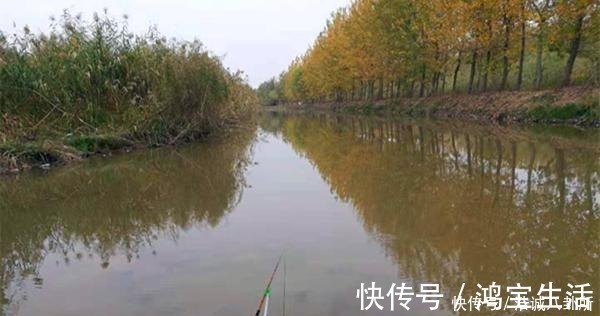 水温|冬季钓鱼,何时钓深何时钓浅?鱼窝这样找,深浅都上鱼!