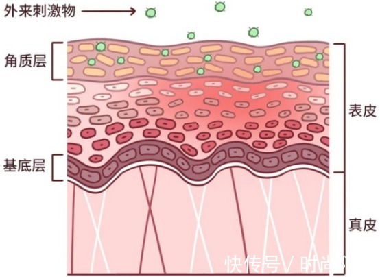 氨基酸洗面奶|皮肤科主任:这4个夏季护肤误区,好多人都做错了,你踩雷了吗?