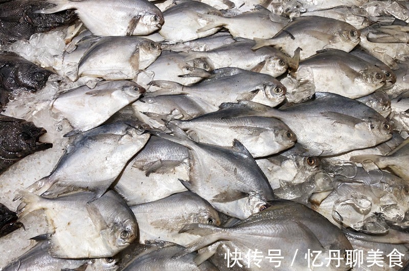 想吃|想吃鱼,就买此6种,目前无法人工养殖,都是野生鱼,放心吃吧