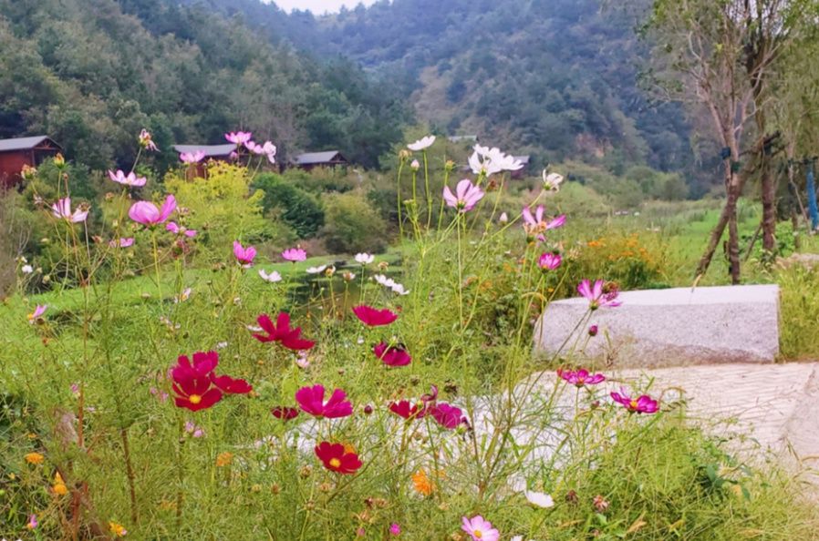 孝感|孝感秋日游上线！除了赏红叶还有玻璃桥、大峡谷、花溪客栈...