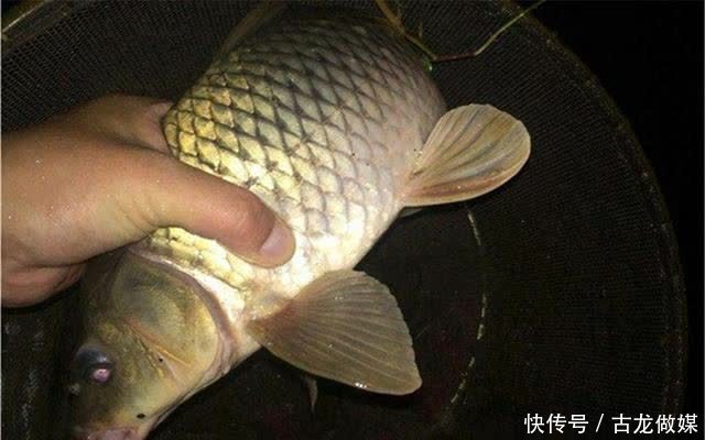 晚春夜钓选钓位,远离这些不出鱼的位置,鱼不从这些地方“路过”