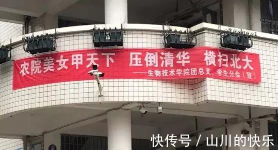 |幽默又搞笑的大学校园横幅,你见过吗?