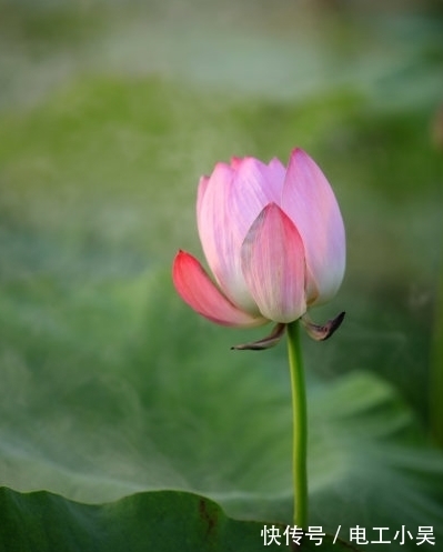 吉星|10月中旬，吉星关照，4属相财运大涨，桃花朵朵，日子越过越旺