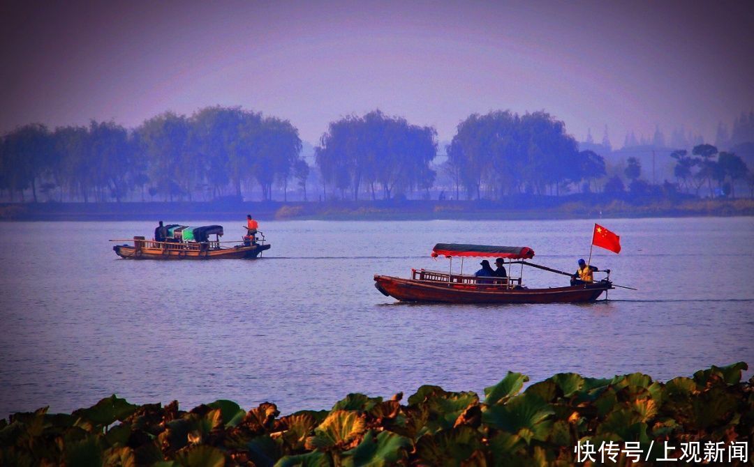 大明湖|一波美图，带你“云”赏青浦的湿地美景