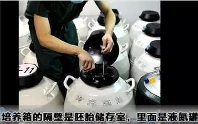 做试管婴儿的全部过程（附图解），看着都疼，可怜天下父母心