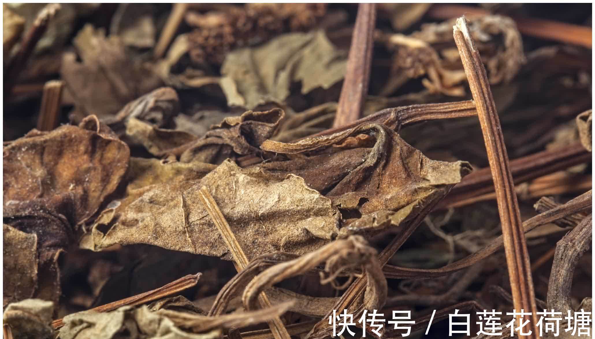 葛根|三种“天然解毒王”,没事泡水喝,提高肝功能,肝硬化或全军覆没