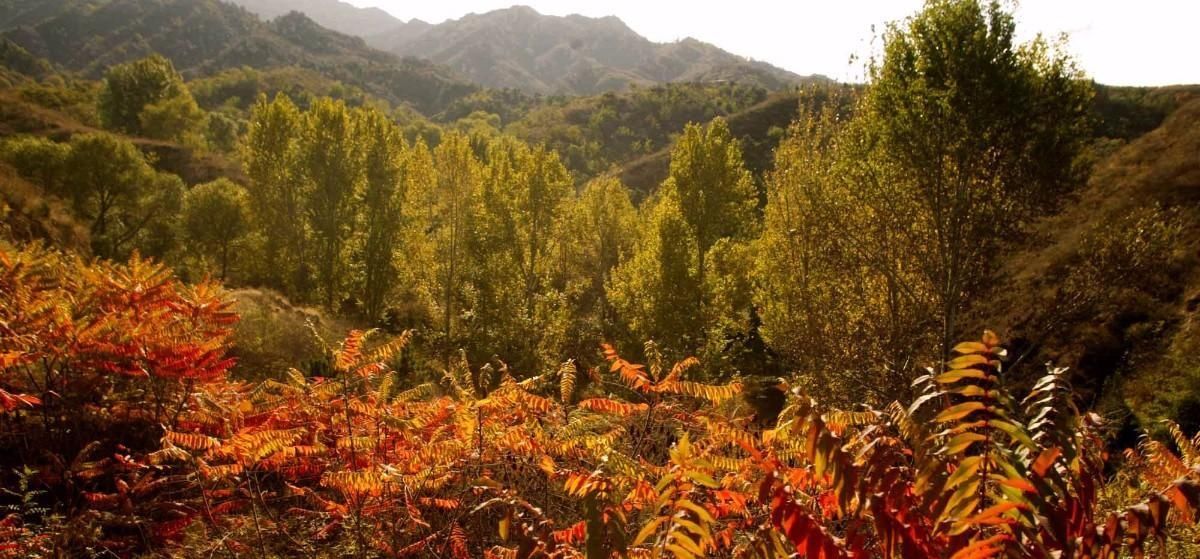 意境|老北京烤肉吃的是什么？吃的是“江湖意境”