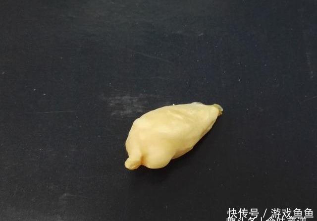 带鱼里吃出一节骨头,像牙齿一样,摸起来硬硬的,你知道原因吗?