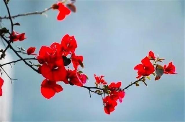 学无术@《增广贤文》中很有深意的10句名言,感受古人哲学智慧