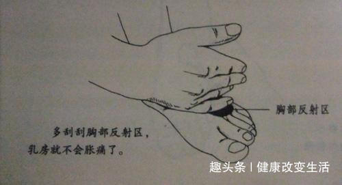 黄花郎地丁茶|乳腺癌开始时,身体有四种迹象,一个不占,你很健康