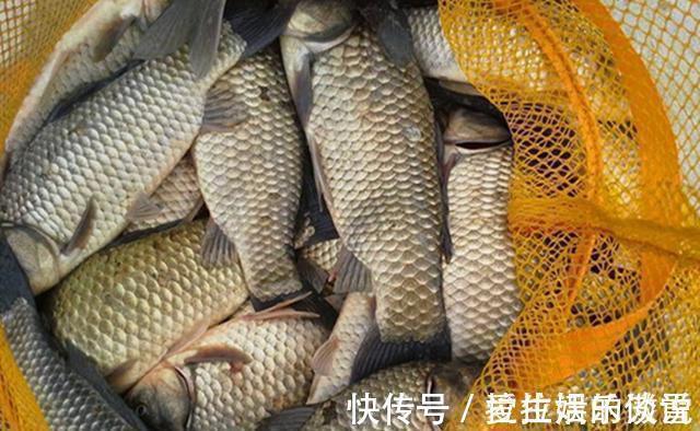 野钓鲫鱼,不能钓底需要钓浮的几个时机,鱼层变化,钓法要跟着变