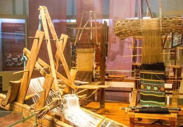 偷偷|外商偷偷将桑蚕放入竹竿,瞒过检查带到国外,却令中国损失上千亿