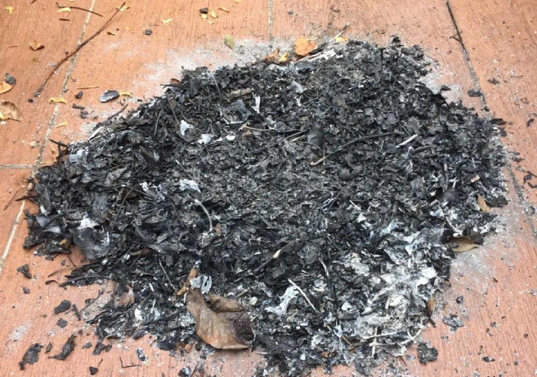 10个偏方,能省不少钱,把花养的又肥又壮