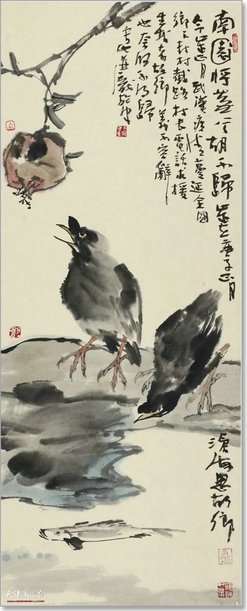 33cm|尹沧海教授八哥作品欣赏:融历代名家的绘画语言于一体