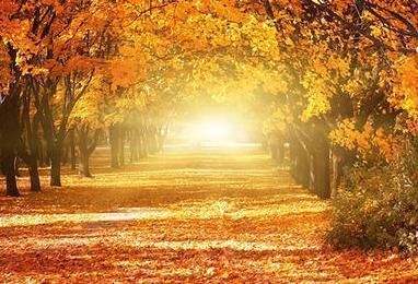 明月@吴文英的一首词,开篇妙语双关,涉笔成趣,全篇更如信手拈来