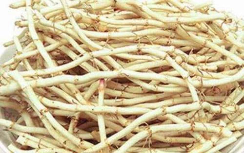 肺部“干净”的人,一般会有4个特征,若你没有,趁早保养