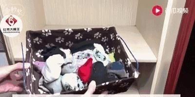 鞋盒 买鞋子时,鞋子里“那团纸”一定要留下来,别扔掉了,快看看!