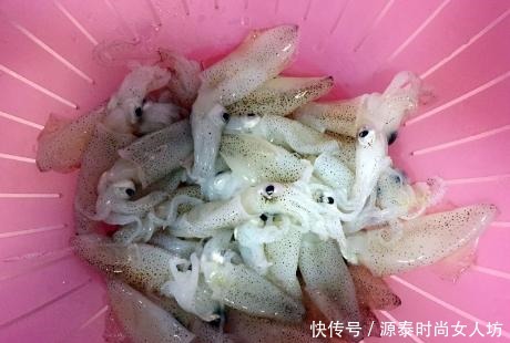  秋天|秋天最肥美的海鲜，45块钱一斤，搭配豆腐煮汤特鲜，好吃营养高