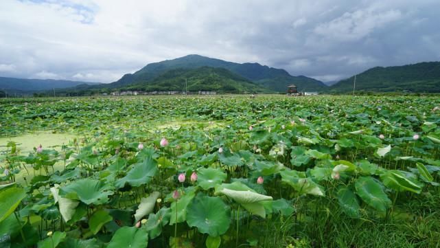 福建武夷山下这座古镇，朱熹在此生活40多年，知道的游客却不多