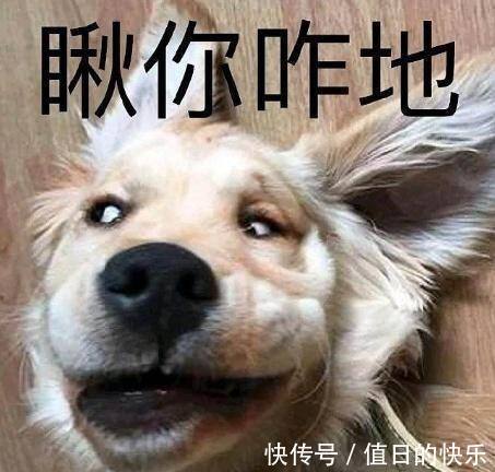 |爆笑段子：女领导谈了个男朋友，第一次去男朋友家，回来就分手了