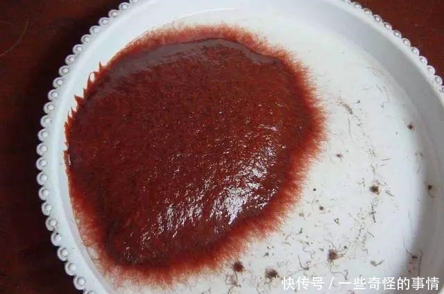 水蚯蚓,长得像红虫,但是比红虫更好用