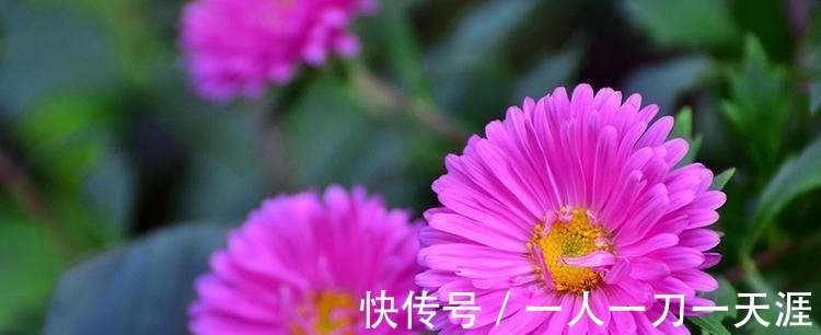 农历|小孩在农历这个月出生,聪明孝顺运势旺,定能成为人生赢家!