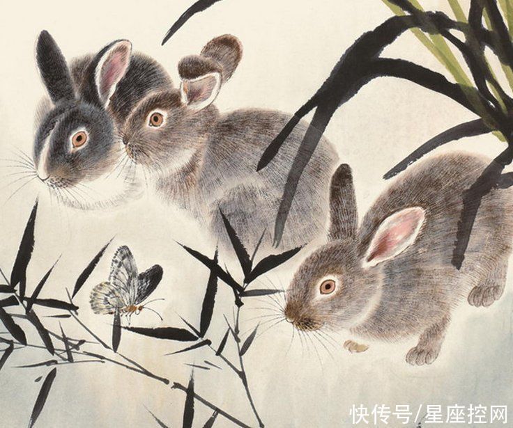 贵人|啥生肖的人,出门在外总有贵人相助,不费心思仍能后来居上