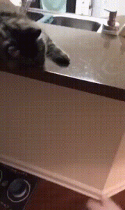 |搞笑GIF趣图救命啊!我被外星人劫持了,该怎么办?