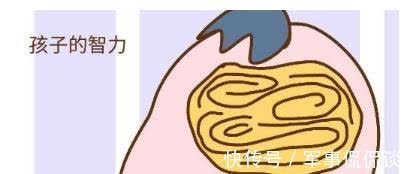 区别|顺产的孩子更聪明吗?别纠结,这才是真正的区别