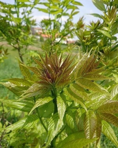 老太|女性不愿老太快，要坚持吃3种食物，排毒润肤，淡化皱纹