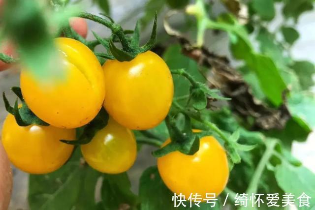 骗术|骗术了得,我老师都上当了,医生:揭秘高血压疾病的8大骗局