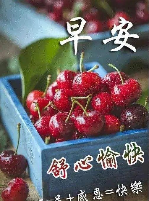 动态|早上好阳光暖心的祝福语动态图片,最新漂亮早上好动态表情图片