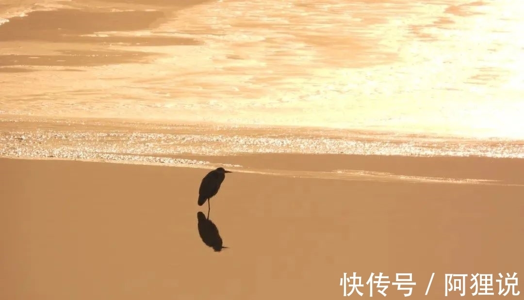 千山鸟$柳宗元最孤独的一首诗,人至中年,我终于看懂了!