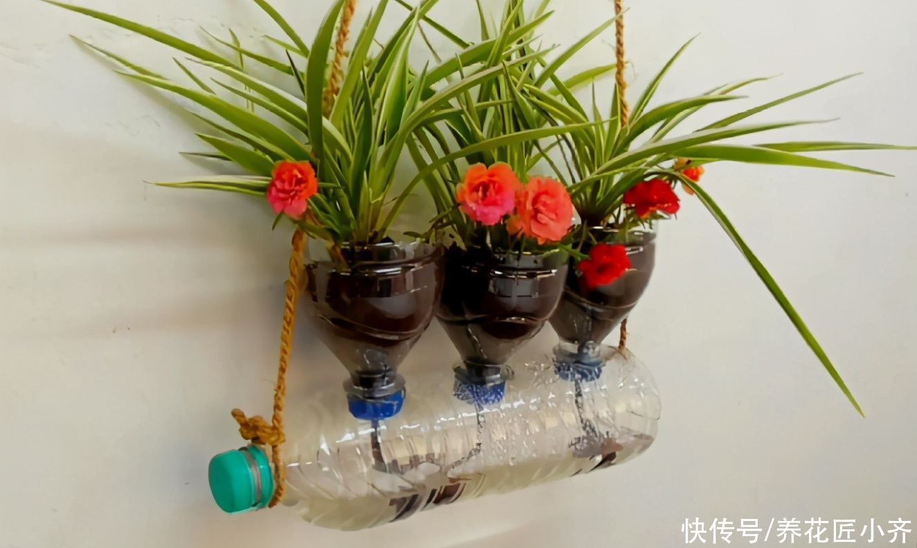 养花人都有的“迷惑行为”，只有爱花之人才懂，快看看你中了几条