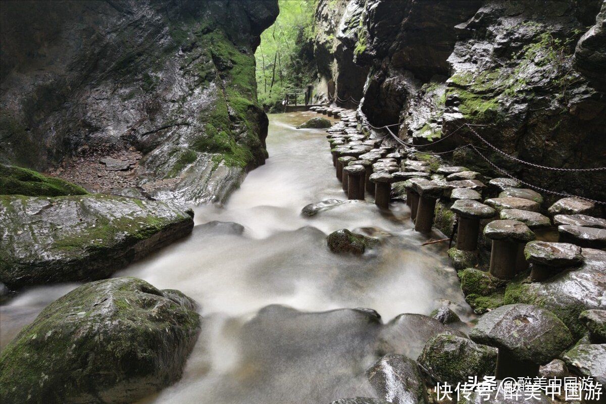 景区|探访牛背梁国家森林公园，植被繁茂，瀑布壮观，避暑胜地