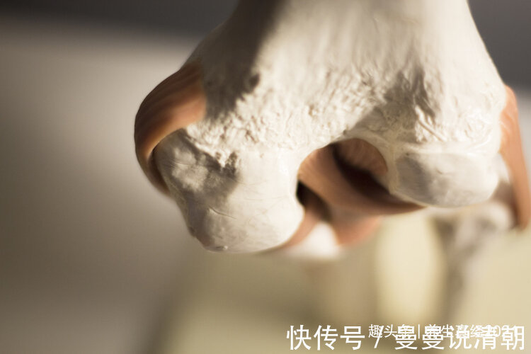 膝关节|骨科医生这4个动作是在给膝盖“上刑”,现在意识到还来得及