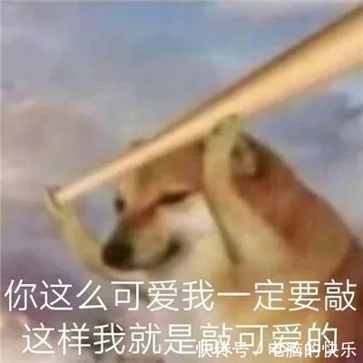 聊天|热门的沙雕聊天表情大全:小王八掉眼泪你鳖伤心