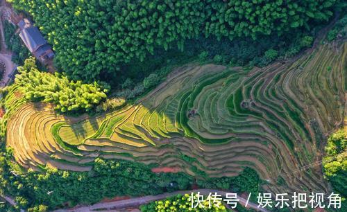 奇观|赣州一冷门景点藏于深山，为国家三大梯田奇观之一，名气却很小