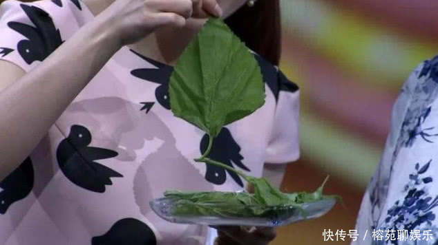 桑叶|每天用“桑叶”泡水喝,不出一个月,3件好事可能会不请自来