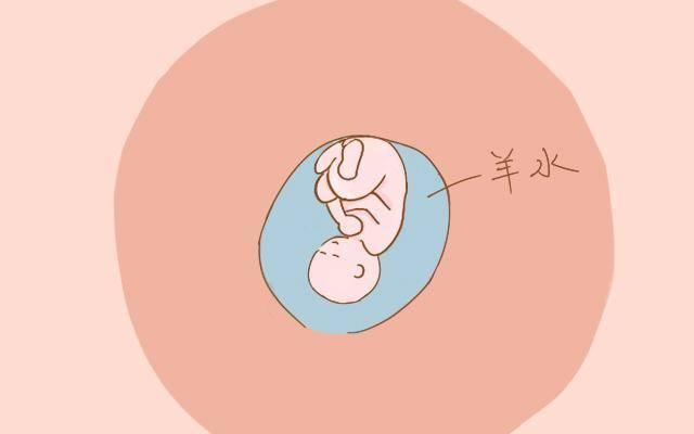 胎儿|身体出现这3种情况说明水喝少了，孕妈遭罪不说胎儿也会受影响