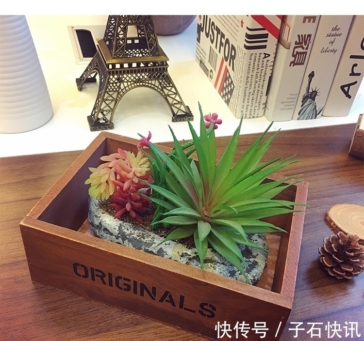 自制|你还在花钱买花盆吗?别买了,自制花盆,比买的好看的多了