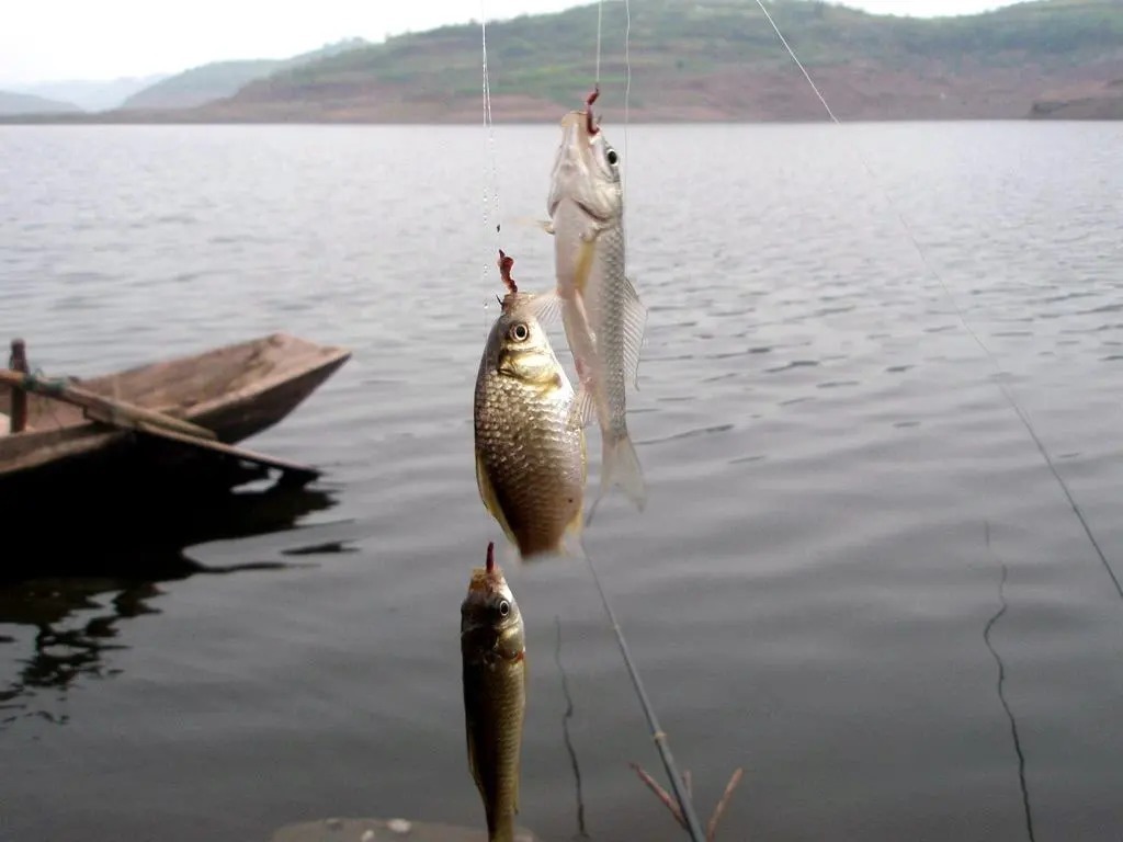 水底|熟悉掌握钓点的这四个特征,真的不用经常去找新钓点