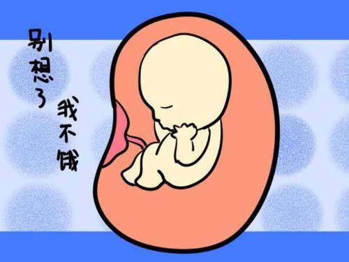 感知|孕期营养不良孕妈有感觉吗？有这些反馈感知，可能是胎宝“饿了”