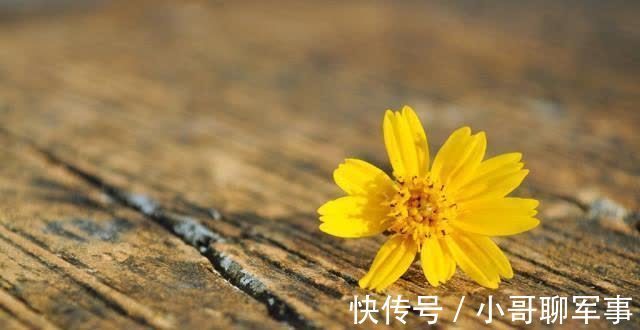 和?|做人,性格坚忍的人有多厉害?看完这个历史故事,或许你就明白了