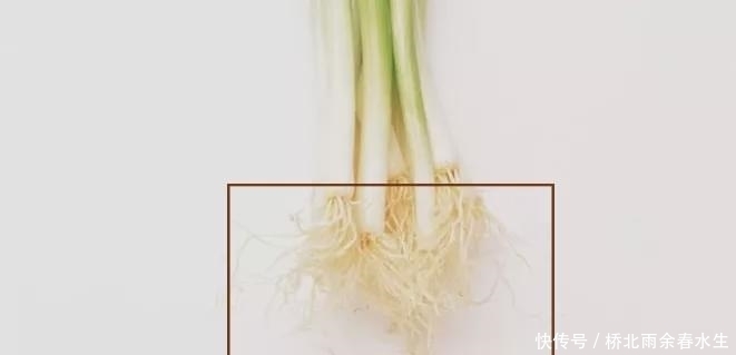 生姜|小儿推拿杨晓:孩子着凉、风寒感冒,家长不妨试试葱白生姜水!