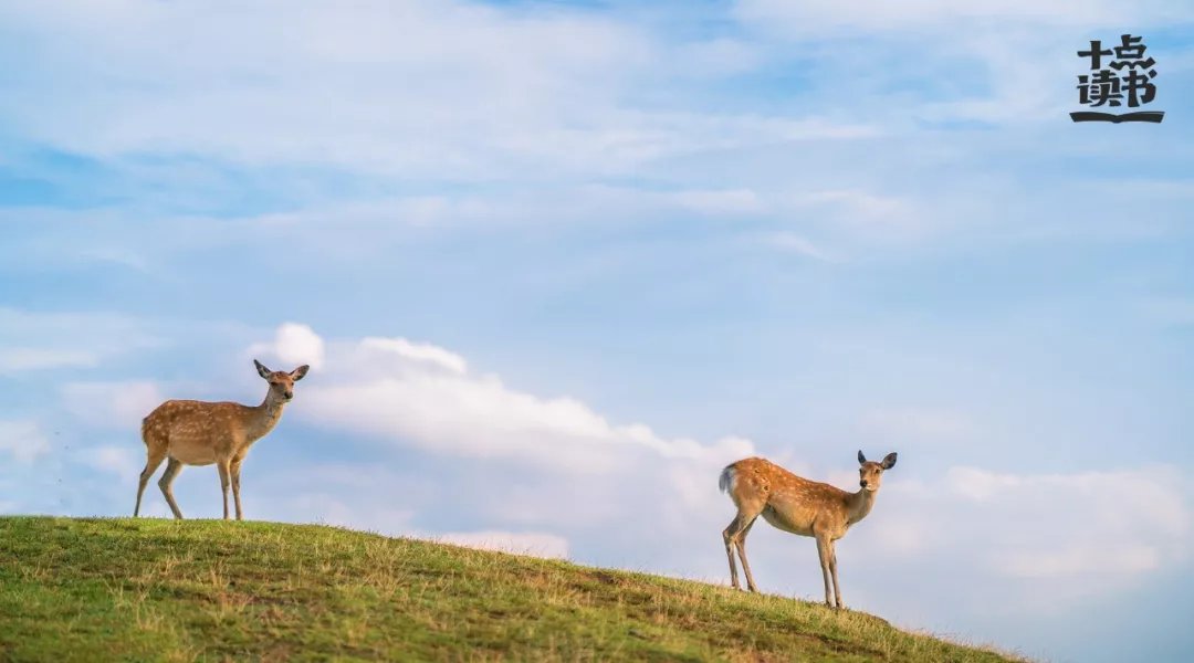 余光中@一个人最大的魅力：骨子硬气，言行大气，心藏静气