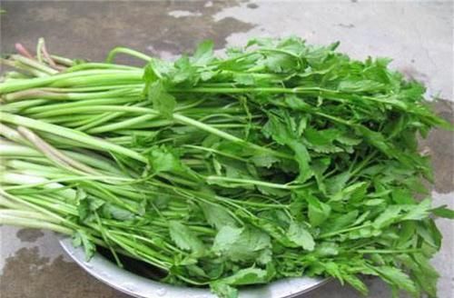 维生素c|男女养生，推荐常吃的东西，皮肤红润有光泽，缓解皱纹，气色更好